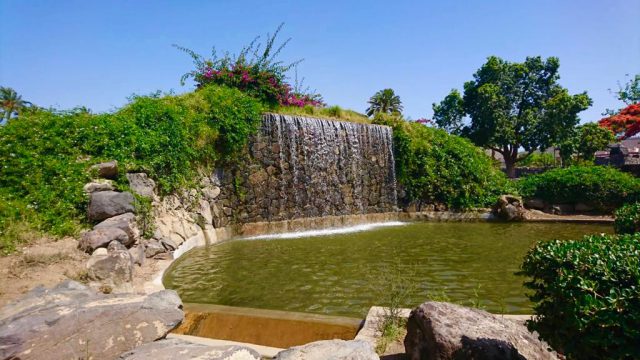 parque Jaime O´shanaha 4