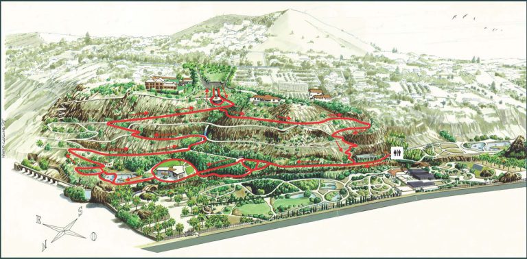 El Cabildo reabre este martes el Jardín Canario para volver a disfrutar de su riqueza botánica  con horario reducido y aforo de 200 personas