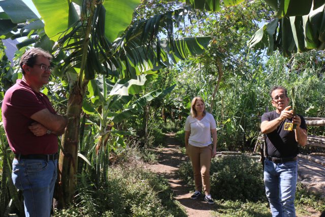 El Cabildo y el Gobierno de Canarias apuesta por impulsar la agricultura ecológica en La Palma 1 visita finca 3