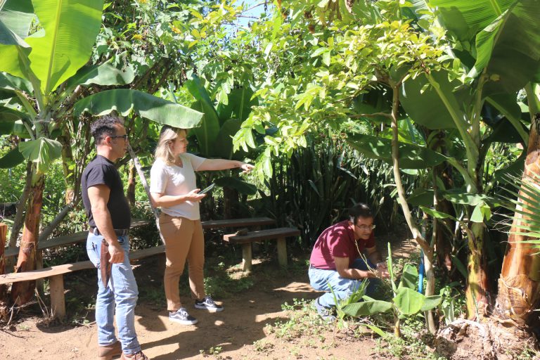 El Cabildo y el Gobierno de Canarias apuesta por impulsar la agricultura ecológica en La Palma