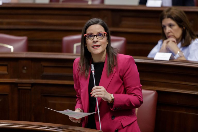 Canarias tramitará en Bruselas un plan de incentivos urgente para la recuperación de rutas aéreas