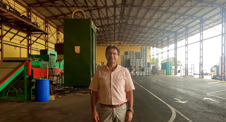 Comienzan las obras de remodelación de la Central Hortofrutícola