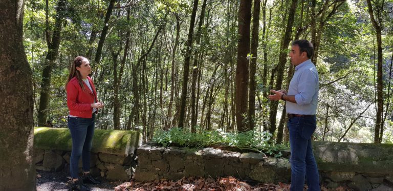 Medio Ambiente rehabilita el vallado de Los Tilos