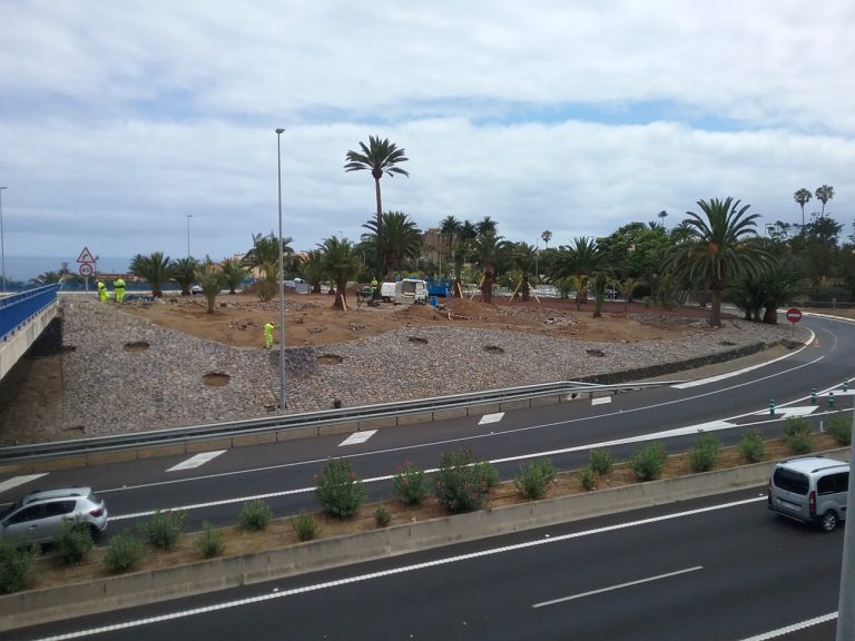 El Cabildo mejora las zonas verdes del enlace de Los Realejos en la TF-5