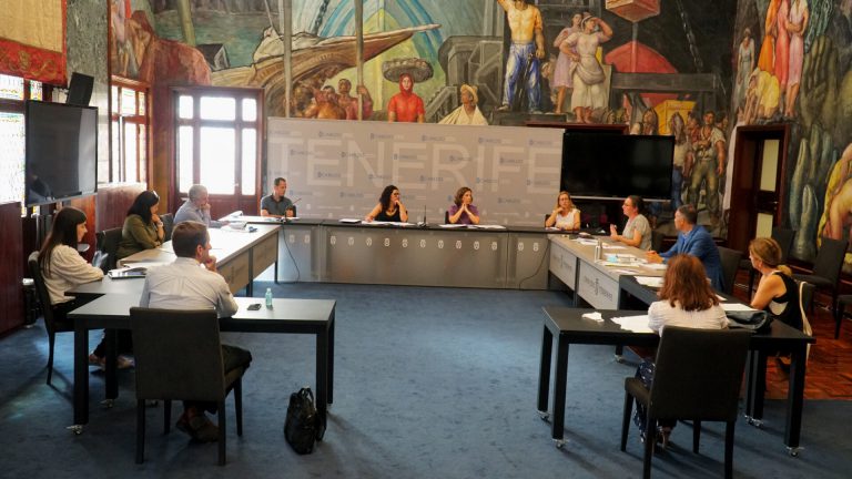 El Cabildo facilita la inserción laboral de 254 personas a través de Barrios por el Empleo