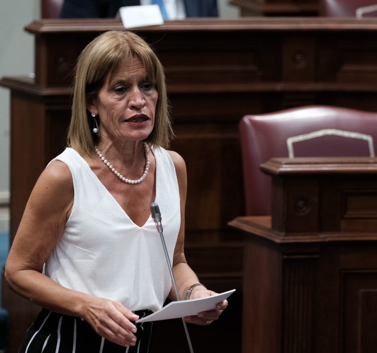 NC plantea que el fondo de reconstrucción de la UE ayude a paliar las deficiencias estructurales de Canarias