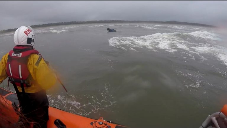 Encuentran un caballo nadando desorientado en alta mar