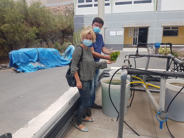 AURI SAAVEDRA VISITA BANCO ESPAÑOL DE ALGAS2