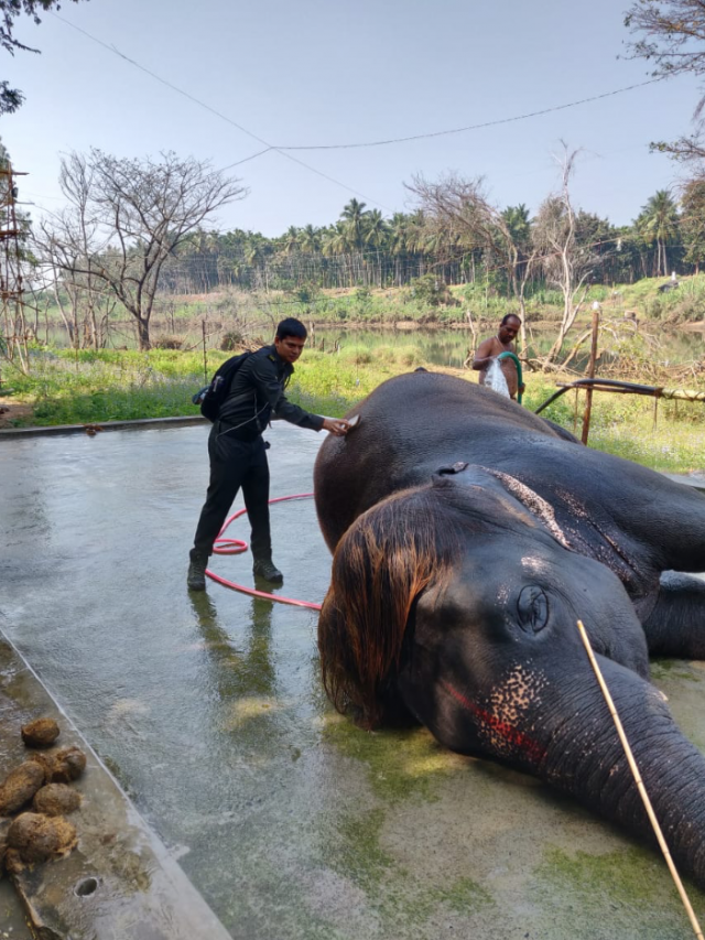 Captura de pantalla 2020 07 06 a las 8.27.59