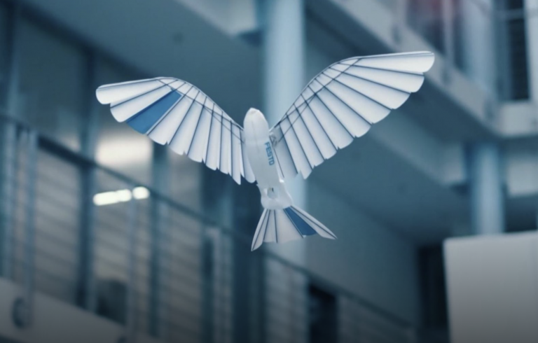 El imponente vuelo de un pájaro robotizado que parece real