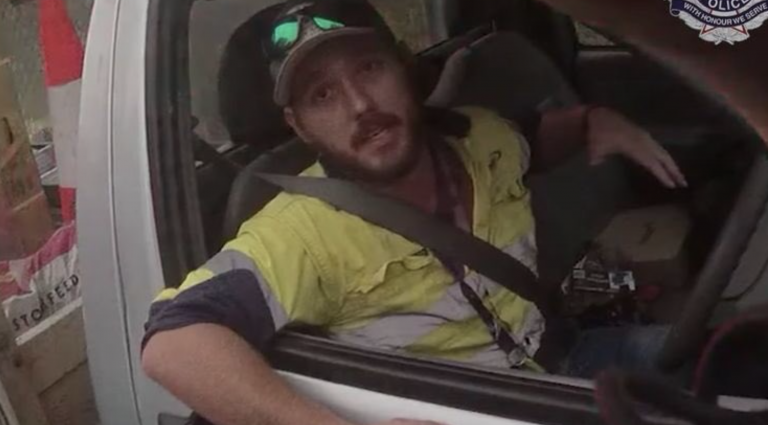 Paran a un conductor por una imprudencia y descubren que estaba luchando contra la serpiente más venenosa del mundo