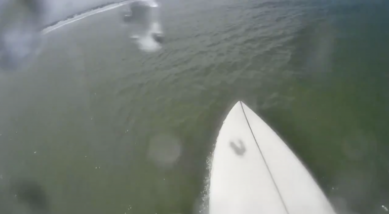 Varios tiburones rodean a una surfista en una playa de los Estados Unidos