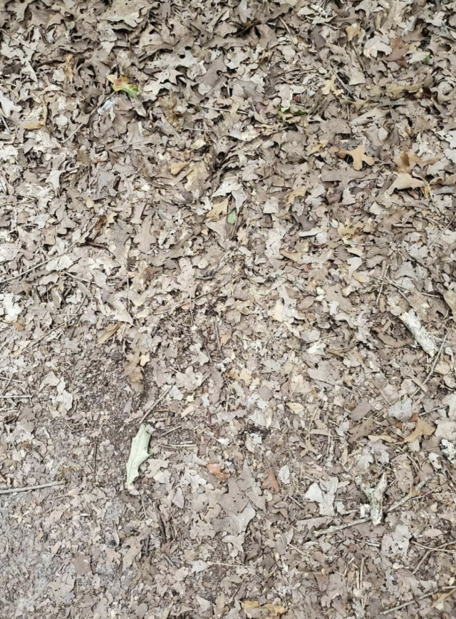 Captura de pantalla 2020 07 13 a las 12.09.52