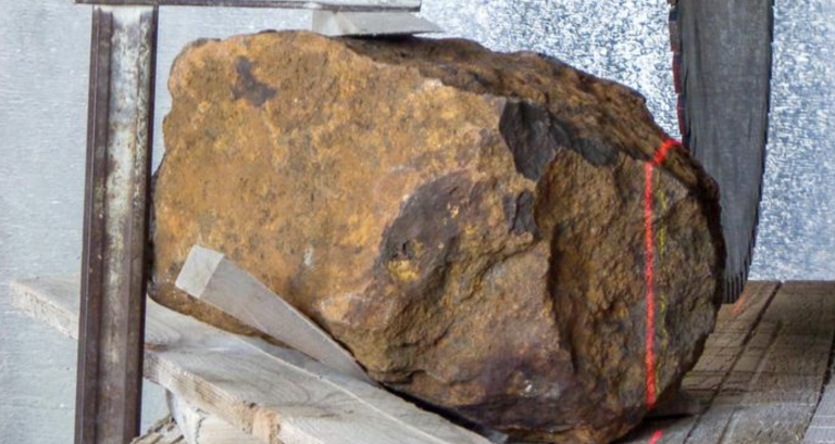 Descubren el meteorito más grande caído en Alemania en un jardín particular