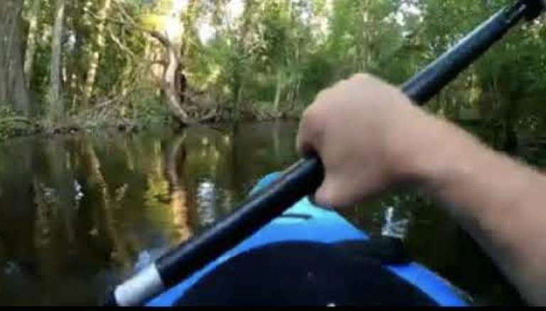 Un cocodrilo ataca a un hombre mientras pasea en un kayak