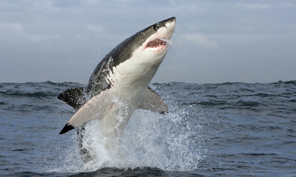 Captura de pantalla 2020 07 20 a las 11.14.54