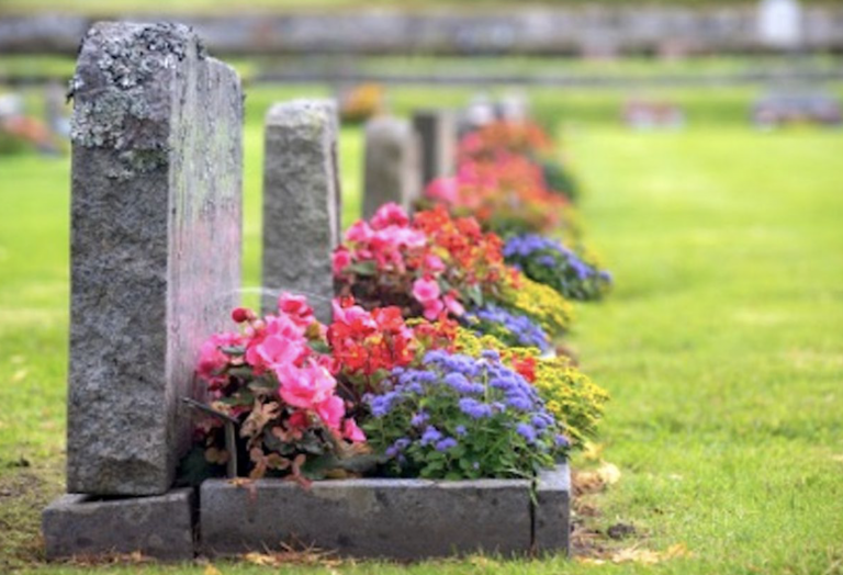 Arrestado un ladrón que sorprendía a sus víctimas visitando tumbas en el cementerio