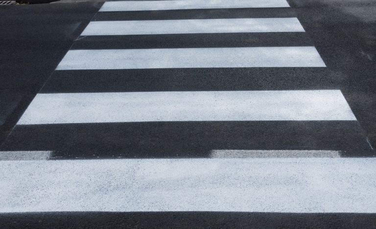 Graban a un grupo de caimanes cruzando la calle por un paso de cebra