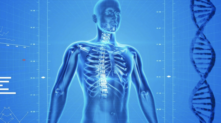 El cuerpo humano está compuesto por sólo cinco grupos de células