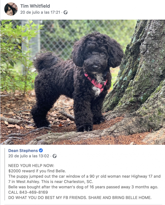 Captura de pantalla 2020 07 29 a las 8.41.14