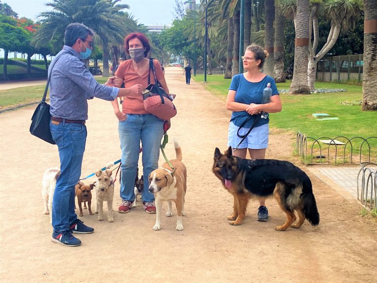 El Ayuntamiento reparte un centenar de carteles para concienciar a la ciudadanía en el control y recogida de los excrementos de mascotas en espacios públicos