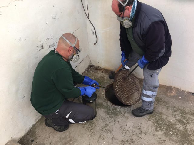 Control de plagas 3 3