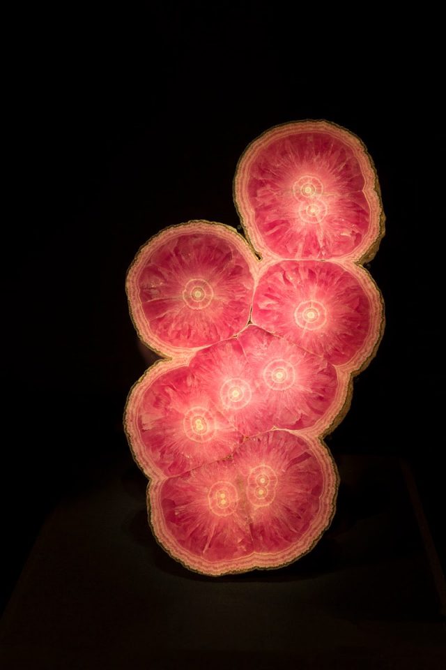 E61F6B67 EE71 4E9C 80EC 616FF8D68D35