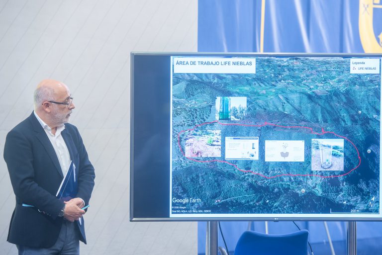 El Cabildo lidera un proyecto pionero en Europa para recuperar bosques y acuíferos con atrapanieblas y exportarlo a la cuenca mediterránea