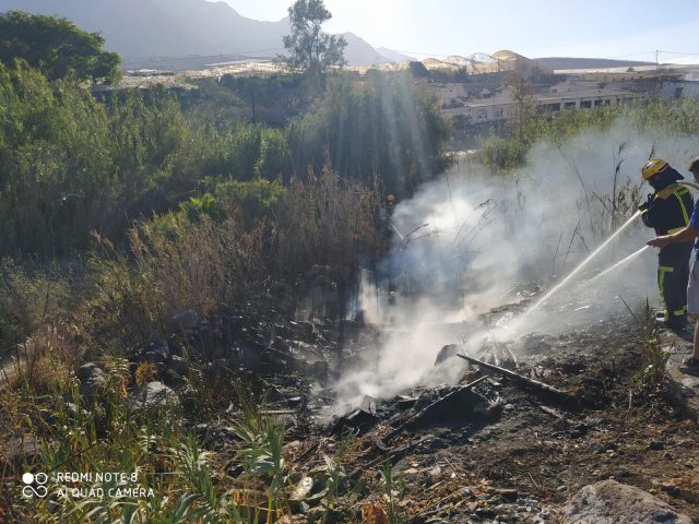 Intervención en un pequeño conato en una zona forestal de Gran Canaria.