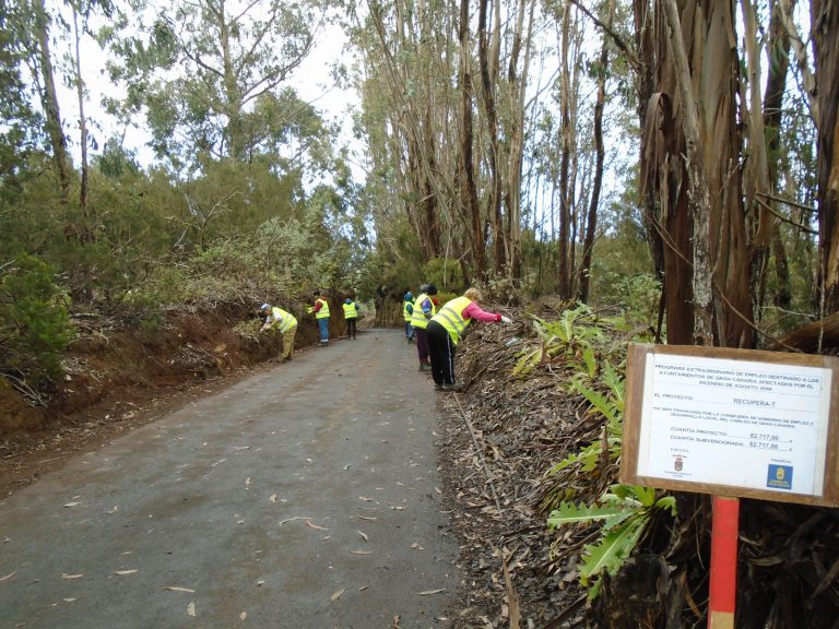 Esta semana finalizan las labores de limpieza y acondicionamiento de las zonas afectadas por el incendio del pasado verano realizadas a través del proyecto ‘RECUPERA-T’