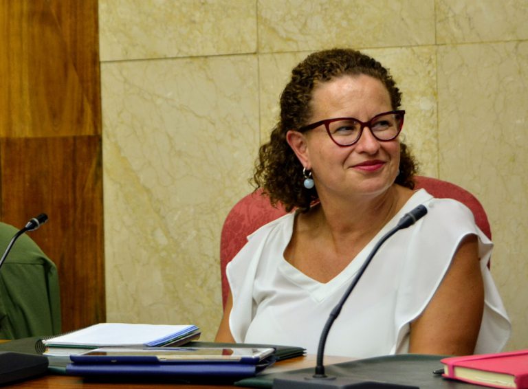 El Cabildo de La Palma abre la inscripción para el programa ‘Verano sin barreras’