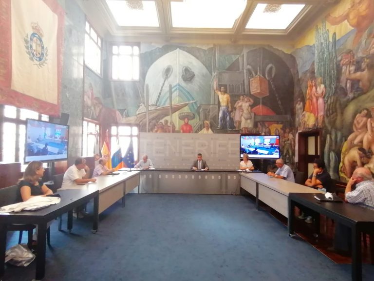 El Cabildo propone a las bodegas comarcales varias medidas para impulsar el sector