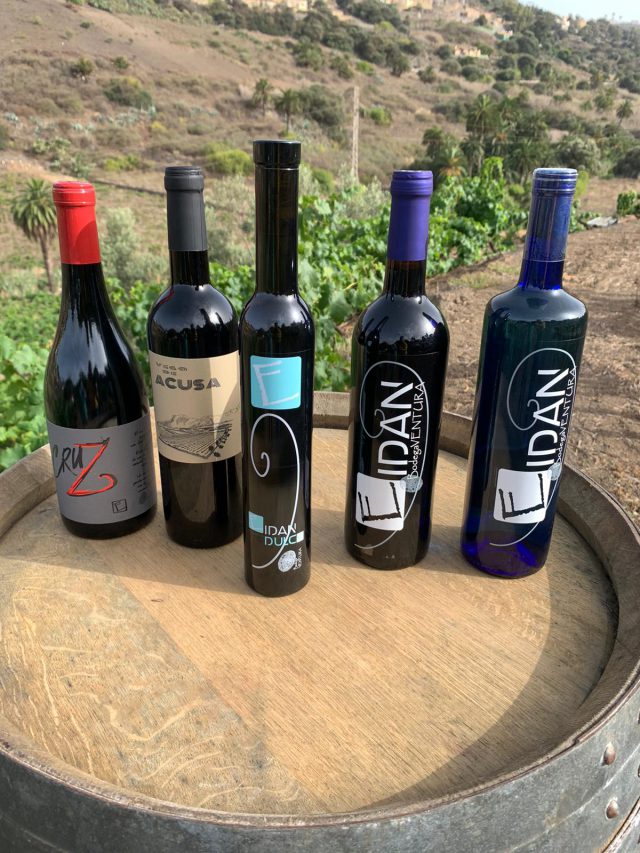Selección de vinos de la Bodega Ventura.