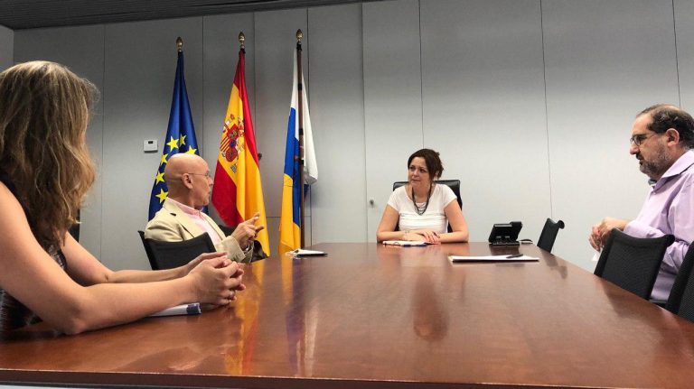 La Diputación del Común y el Instituto Canario de la Vivienda establecen vías de comunicación