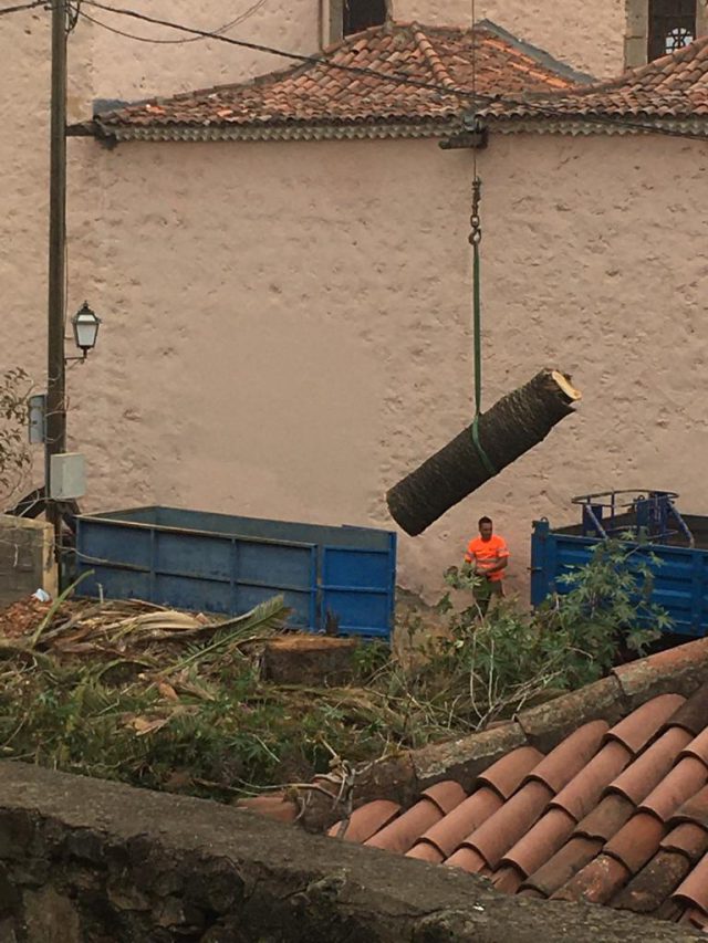 WhatsApp Image 2020 07 11 at 14.16.01 1