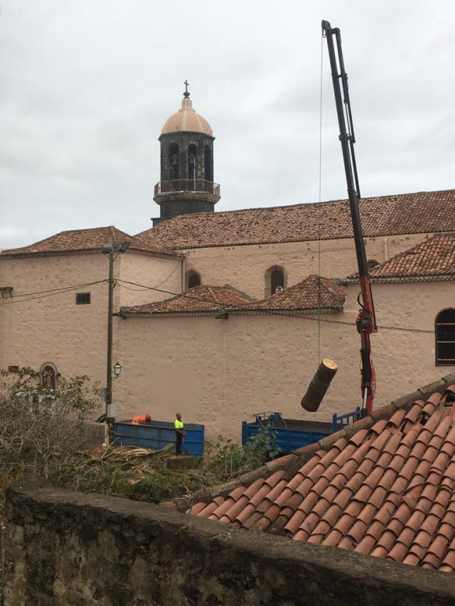 WhatsApp Image 2020 07 11 at 14.16.02