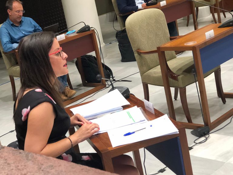 Canarias  desarrollará en seis meses la nueva Estrategia de Desarrollo Industrial para 2021-2025