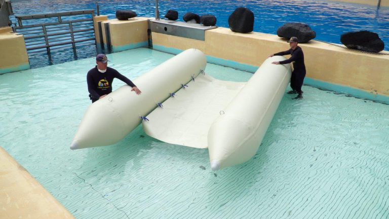 La empresa ZEBEC dona a Loro Parque Fundación un prototipo de pontón para la reflotación de cetáceos