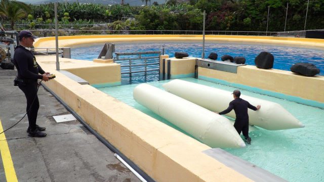 ZEBEC dona a Loro Parque Fundación un prototipo de pontón 03