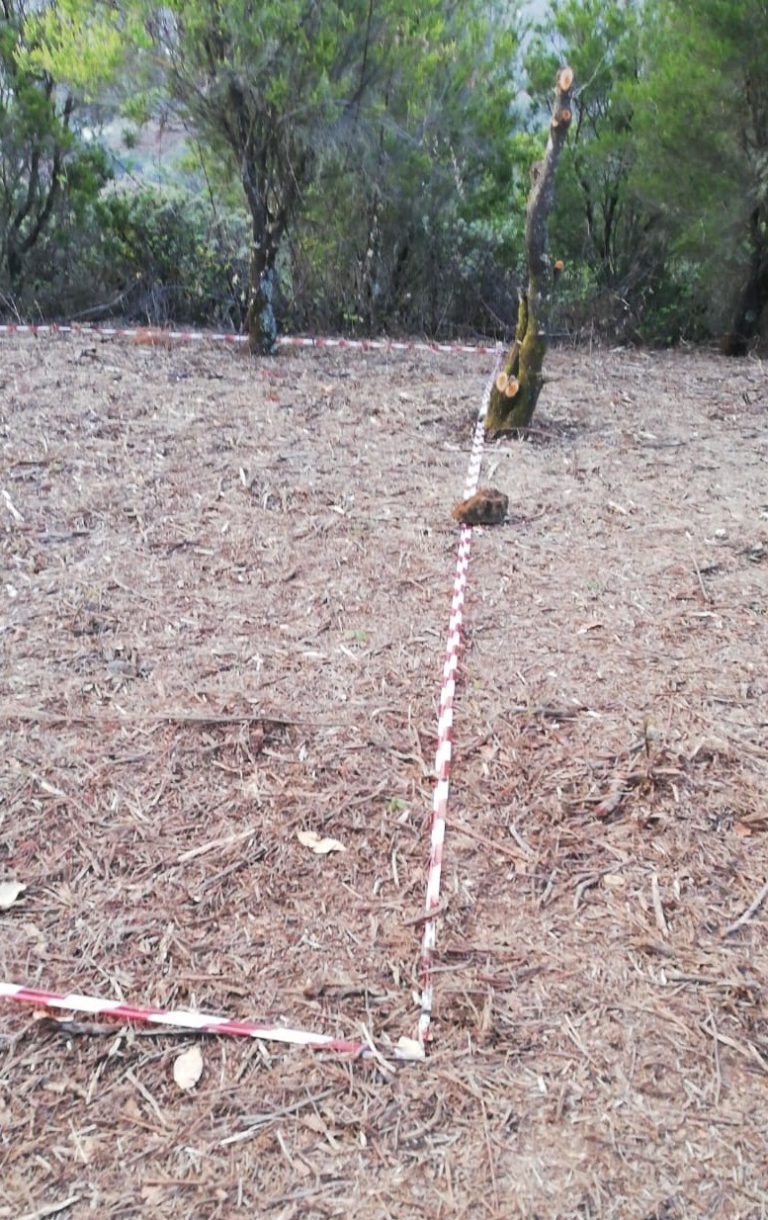 Preocupación por la posible instalación de una antena en el Pico Rayo /Osorio
