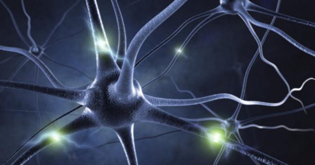 La fórmula de la felicidad depende de cuatro químicos del cerebro 1 endorfinas-felicidad