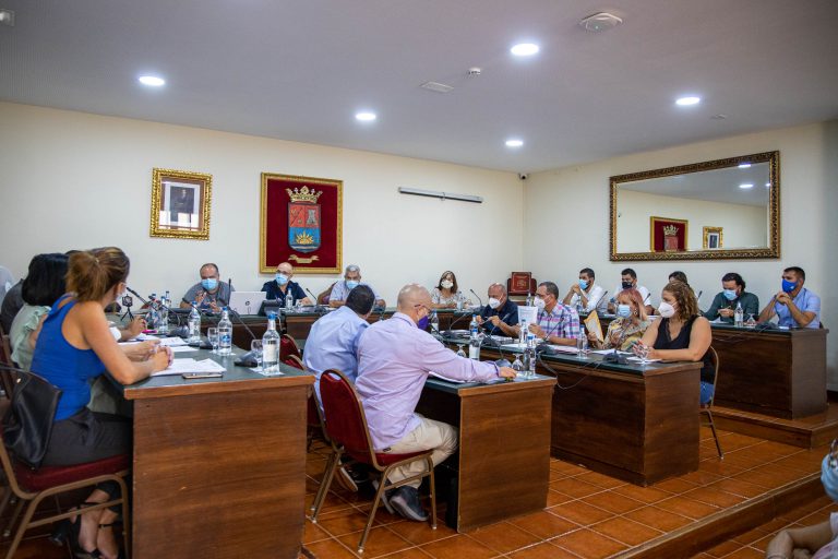 Adeje pondrá a disposición de pequeñas empresas y autónomos  1 millón de euros para evitar la destrucción de empleo y el cierre