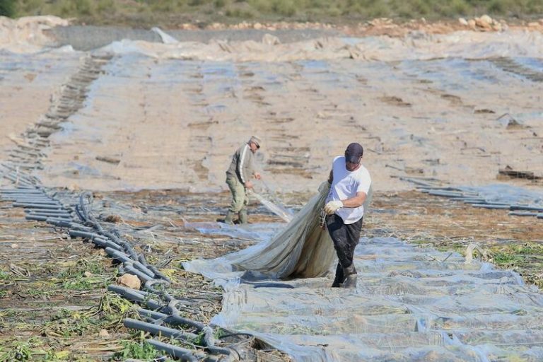 BBVA activa un plan para apoyar a familias y empresas afectadas por las catástrofes naturales
