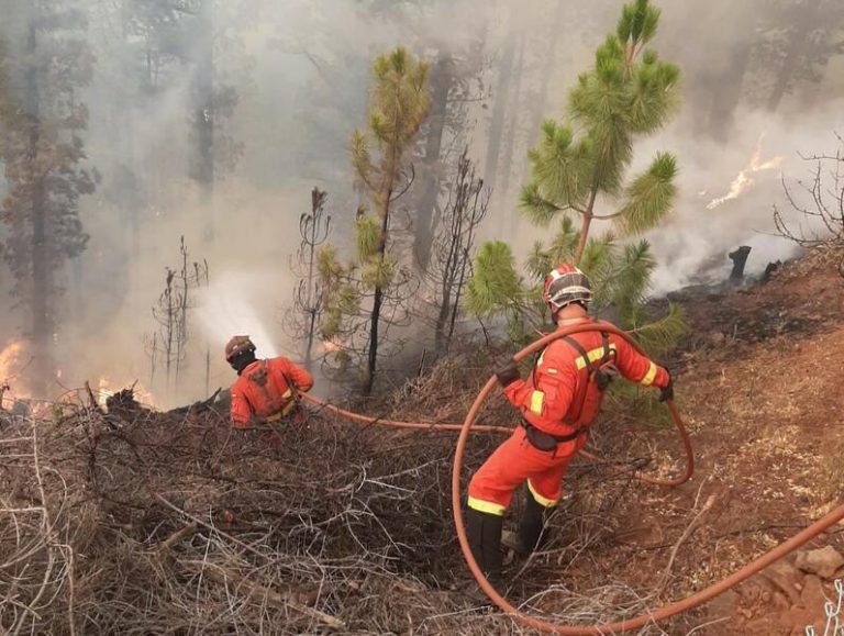 Equipos de extinción enfrían la zona afectada por el fuego en Garafía