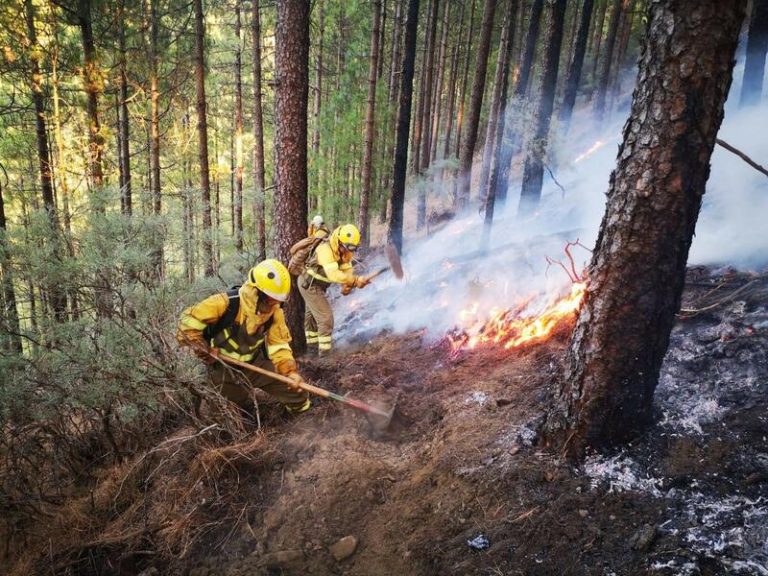 Canarias amplía a alerta máxima el riesgo de incendios forestales
