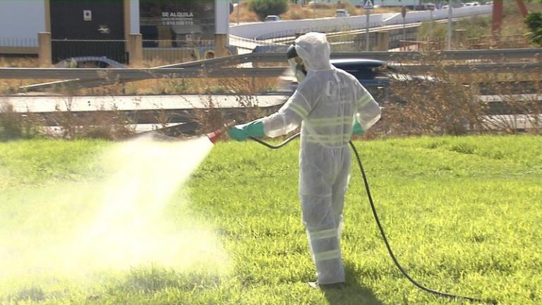 Suben a 17 los ingresos, seis de ellos en UCI, de contagiados por el Virus del Nilo