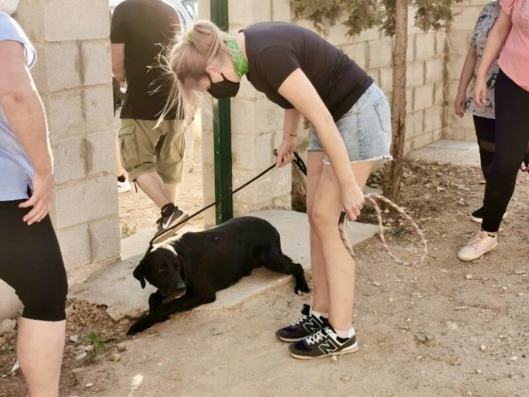 El centro de acogida animal de Huelva alberga a 70 animales evacuados a causa del incendio de Almonaster