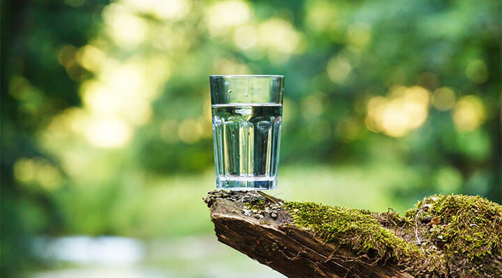 agua-bosque