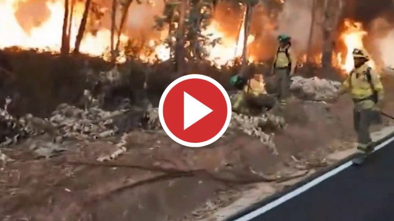 La llamas se avivan en Almonaster la Real (Huelva)