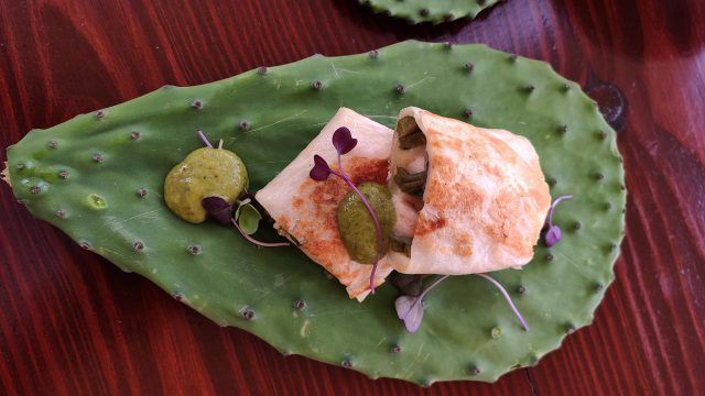 Jardin de Cactus 5 Sergio Foto